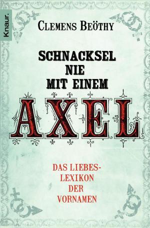Cover of the book Schnacksel nie mit einem Axel by Sabine Ebert