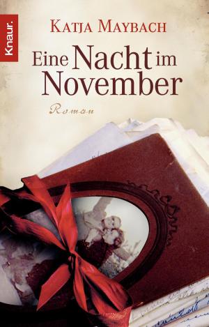 Cover of the book Eine Nacht im November by Thomas Thiemeyer