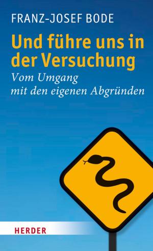 Cover of the book Und führe uns in der Versuchung by Notker Wolf