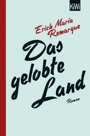 Cover of the book Das gelobte Land by John Banville