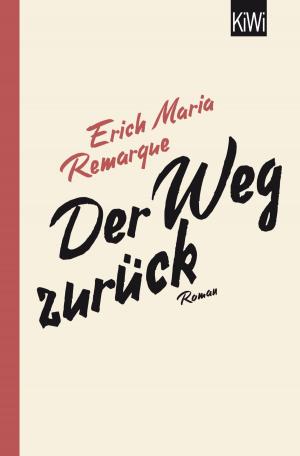 Cover of the book Der Weg zurück by Lenz Koppelstätter