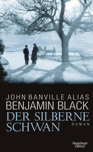 Cover of the book Der silberne Schwan by Jean-Luc Bannalec