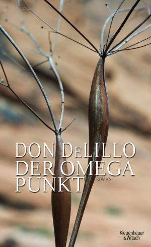Cover of the book Der Omega-Punkt by Sandra Roth