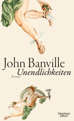 Cover of the book Unendlichkeiten by Julian Barnes