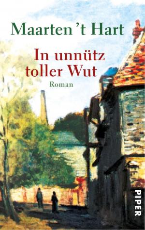 Cover of the book In unnütz toller Wut by Susanne Hanika