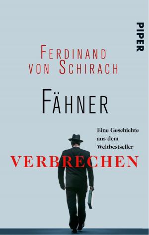 Cover of the book Fähner by Franziska von Au