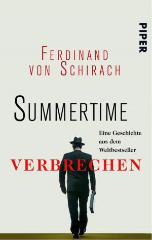 Cover of the book Summertime by Michael Wolffsohn