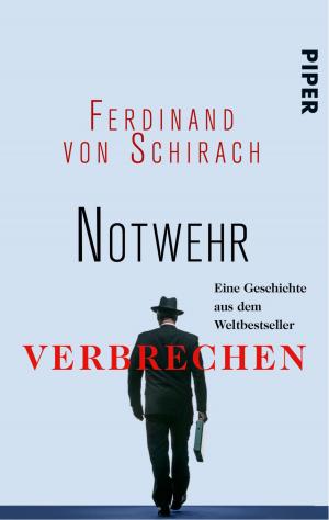 Cover of the book Notwehr by Maarten 't Hart