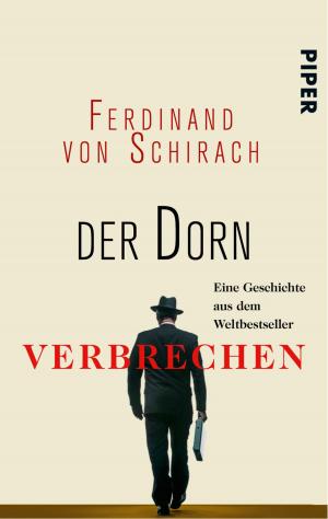 Cover of the book Der Dorn by Wolfgang Burger