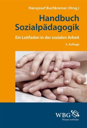 Book cover of Handbuch Sozialpädagogik