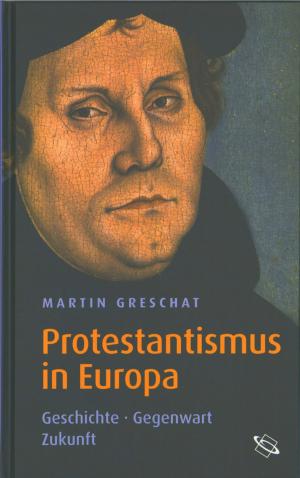 bigCover of the book Protestantismus in Europa by 
