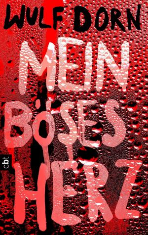 Book cover of Mein böses Herz