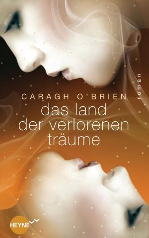 Cover of the book Das Land der verlorenen Träume by Sara Gran, Eva Wagner