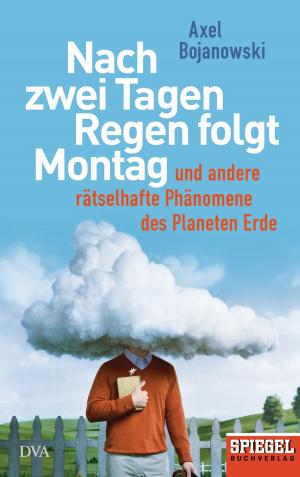 Cover of the book Nach zwei Tagen Regen folgt Montag by Anna Quindlen