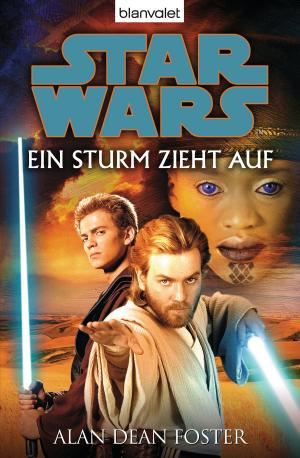 Cover of the book Star Wars. Ein Sturm zieht auf. Roman by Emma Wildes