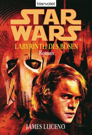 Book cover of Star Wars. Labyrinth des Bösen