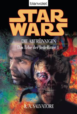 Book cover of Star Wars. Das Erbe der Jedi-Ritter 1. Die Abtrünnigen