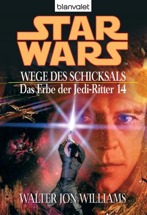 Book cover of Star Wars. Das Erbe der Jedi-Ritter 14. Wege des Schicksals