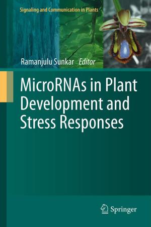 Cover of the book MicroRNAs in Plant Development and Stress Responses by L.S. Pinchuk, Vi.A. Goldade, A.V. Makarevich, V.N. Kestelman