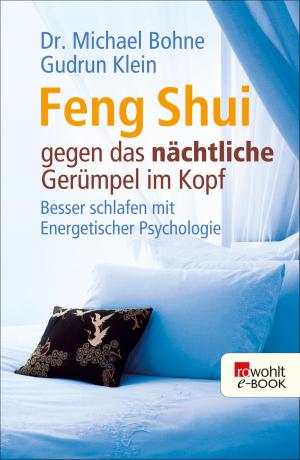 Book cover of Feng Shui gegen das nächtliche Gerümpel im Kopf
