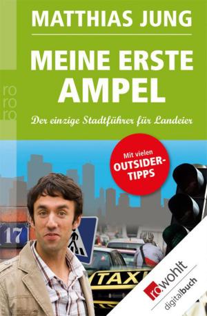 Book cover of Meine erste Ampel