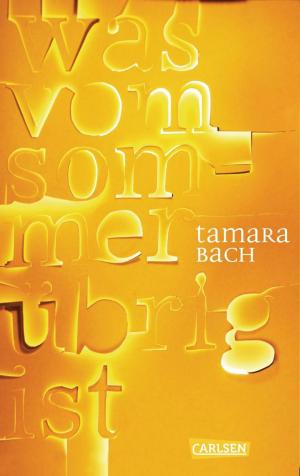 Cover of the book was vom Sommer übrig ist by Amelie Murmann
