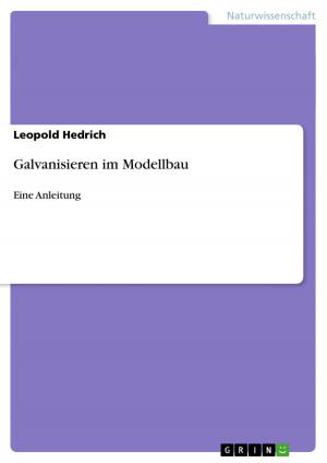 Cover of the book Galvanisieren im Modellbau by Anja Fischer