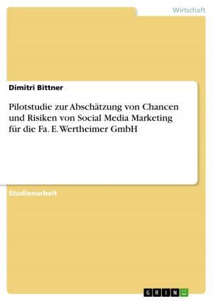 Cover of the book Pilotstudie zur Abschätzung von Chancen und Risiken von Social Media Marketing für die Fa. E. Wertheimer GmbH by Thomas Zeitler