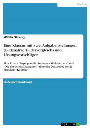 Cover of the book Eine Klausur mit zwei Aufgabenstellungen (Bildanalyse, Bildervergleich) und Lösungsvorschlägen by Fabian Schürmann