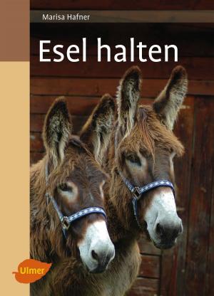 Cover of the book Esel halten by Oliver Schmidt