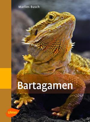 Cover of the book Bartagamen by Claudia Rösen