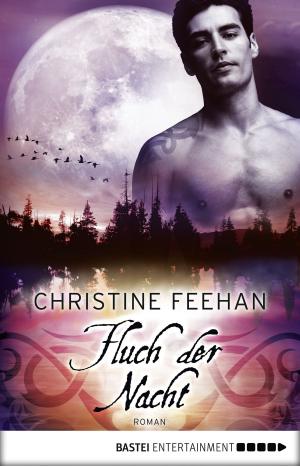 Cover of the book Fluch der Nacht by Michael Marcus Thurner