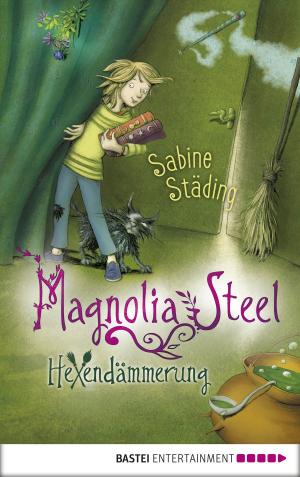 Book cover of Magnolia Steel