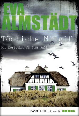 Cover of the book Tödliche Mitgift by Manfred Weinland
