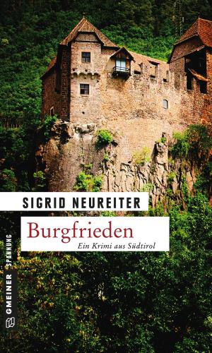 Book cover of Burgfrieden