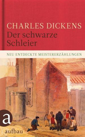 Cover of the book Der schwarze Schleier by Maria Dries