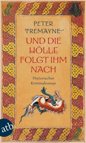 Cover of the book Und die Hölle folgte ihm nach by Jacqueline Sheehan