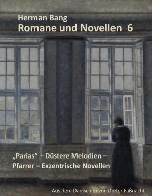 Cover of the book Romane und Novellen 6 by Stefan Blankertz