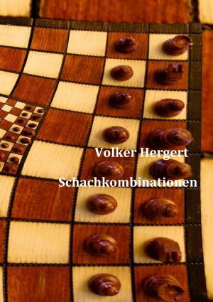 Cover of the book Schachkombinationen by Rainer Wörtmann
