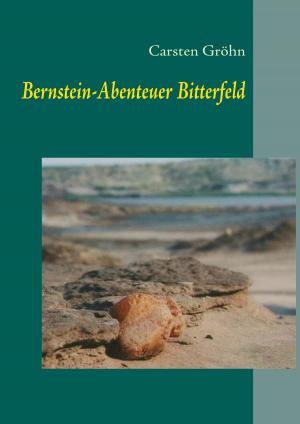 Cover of the book Bernstein-Abenteuer Bitterfeld by Nicole Frischlich