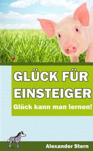 Book cover of Glück für Einsteiger