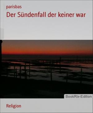 Cover of the book Der Sündenfall der keiner war by Barbara Shriver
