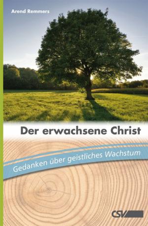Cover of the book Der erwachsene Christ by Manuel Seibel