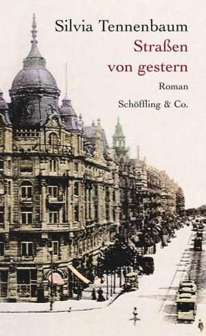 Cover of the book Straßen von gestern by Sherwood Anderson, Mirko Bonné
