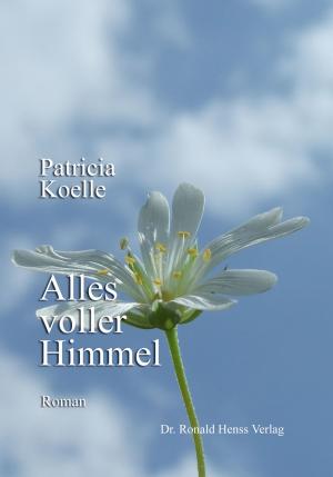 Book cover of Alles voller Himmel