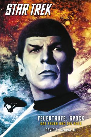 Book cover of Star Trek - The Original Series 2: Feuertaufe: Spock