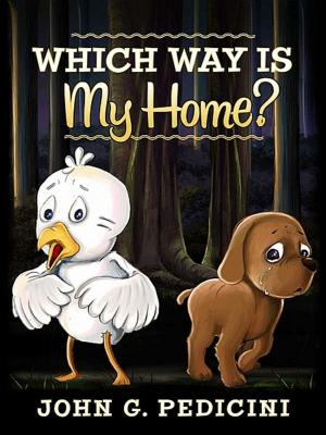 Cover of the book Which Way Is My Home? by Lynne Land