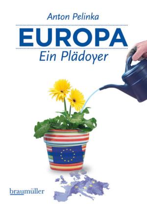 Cover of the book Europa - Ein Plädoyer by Burkhard Jahn