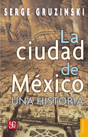 Cover of the book La ciudad de México: una historia by Rosario Castellanos