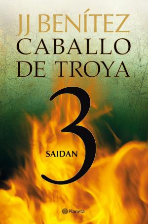 Cover of the book Saidan. Caballo de Troya 3 by Berna González Harbour